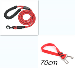 Dog Leash