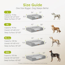 Large Dog Bed