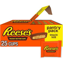 Snack Size Peanut Butter Cups