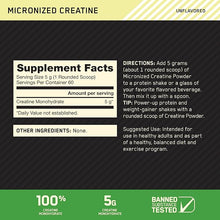 Micronized Creatine Monohydrate Powder
