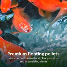Floating Fish Food